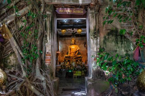 Wat Bang Kung, a temple under a tree, Thailand