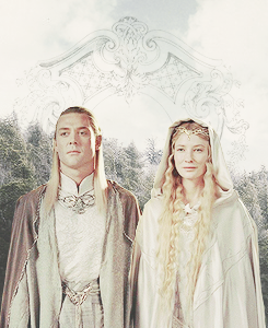  lotr meme: three races [3/3] » elves They were valiant, but the history of those