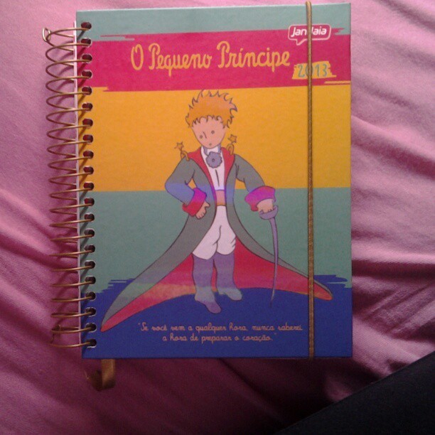 Agenda nova *-* #littleprince #new #for #school #so #beautiful #2013 #like4like #followme