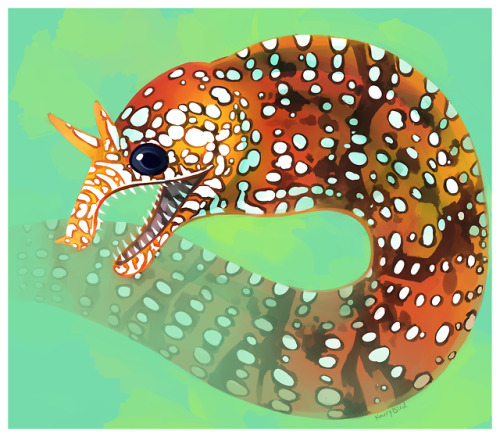 Fishy Friends Japanese Dragon Eel