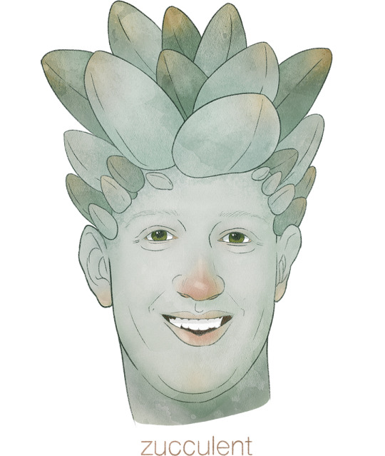 Spej