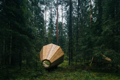 Gigantic wooden megaphones amplify the sounds of the forest in Estonia