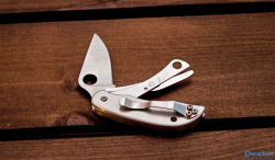 sonderzug:  Spyderco ClipiTool with Scissors.