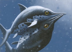 paleoillustration:  Ichthyosaurs from the book “Monsterøglene på Svalbard”, written by prof. Jørn Hurum and Torstein Helleve, illustrated by Esther Van Hulsen: Two ichthyosaurs from Svalbard engaging in courtship (Cryopterygius kristiansenae).