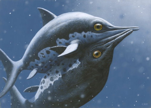 paleoillustration:  Ichthyosaurs from the book “Monsterøglene på Svalbard”, written by prof. Jørn Hurum and Torstein Helleve, illustrated by Esther Van Hulsen: Two ichthyosaurs from Svalbard engaging in courtship (Cryopterygius kristiansenae).