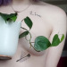 thechronicfuckingmasochist:🌱 bloom 🌿
