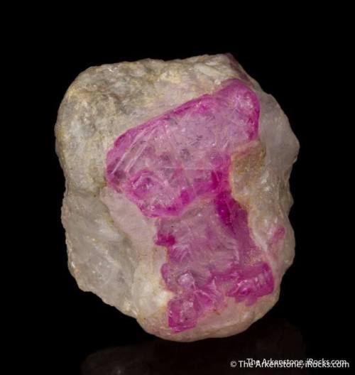 Gemmy gummy bearLooking rather edible on its bed of Scapolite (see https://bit.ly/2wAGxzx) is a love