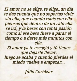 monochrome-rose:  Simplemente: Julio Cortázar.