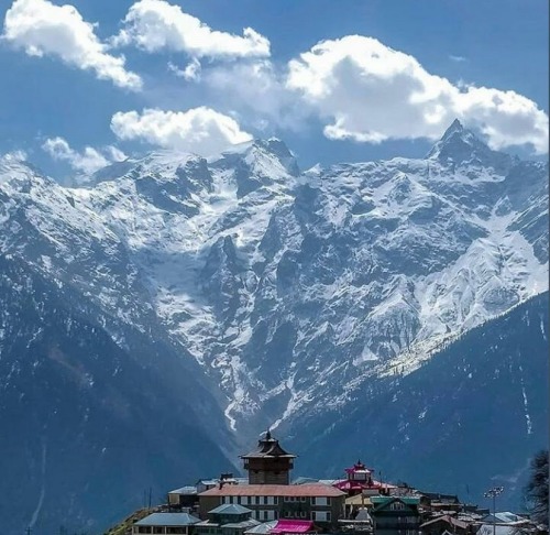 Himachal Dairies, February-March.