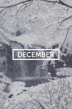  December | © | AOI 