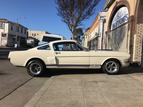 1966 Ford Mustang Shelby GT350 - Oakland, CA