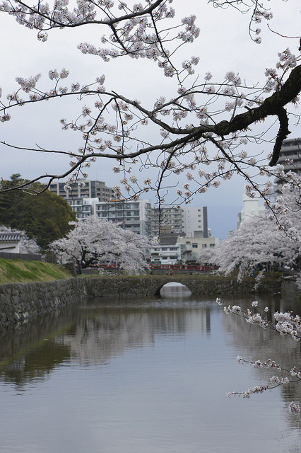 isaykonnichiwa:  Overlooking Manabi Bashi by shinnygogo on Flickr. 