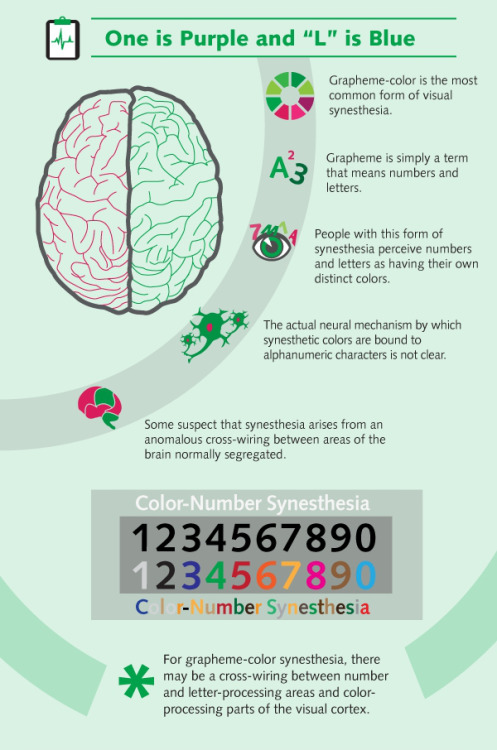 neuromorphogenesis: UNDERSTANDING THE PHENOMENON OF SYNESTHESIA The number 3 is color orange and Jan