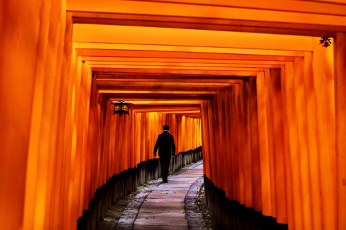 stevemccurrystudios:STEP BY STEP “Walking … is how the body measures itself against the earth.” - 