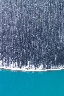 anotic:  Peyto in Winter  |  Ben H.