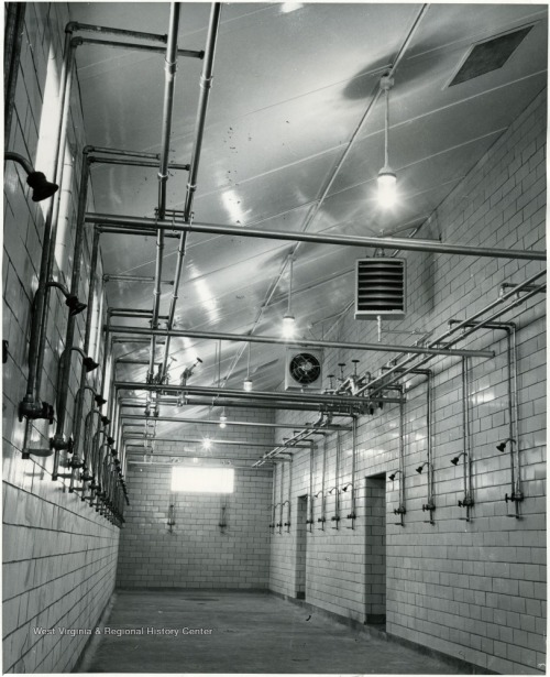 openshowers:  Miner’s Showers, Hanna Coal Company, West Virginia