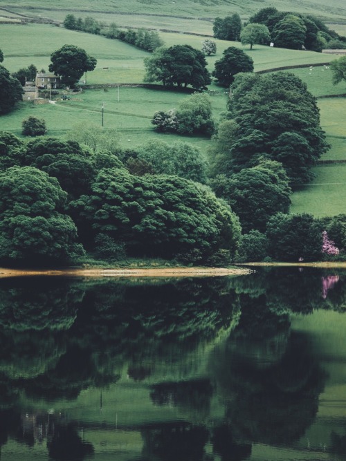 dpcphotography:  Derwent Reflections