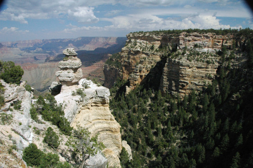 Standing atop the Kaibab PlateauGotta say, no idea how I made it this far. Writing and scheduling al