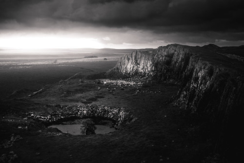 frederick-ardley: Black and White by Frederick ArdleyClick to follow on Instagram @frederickardley
