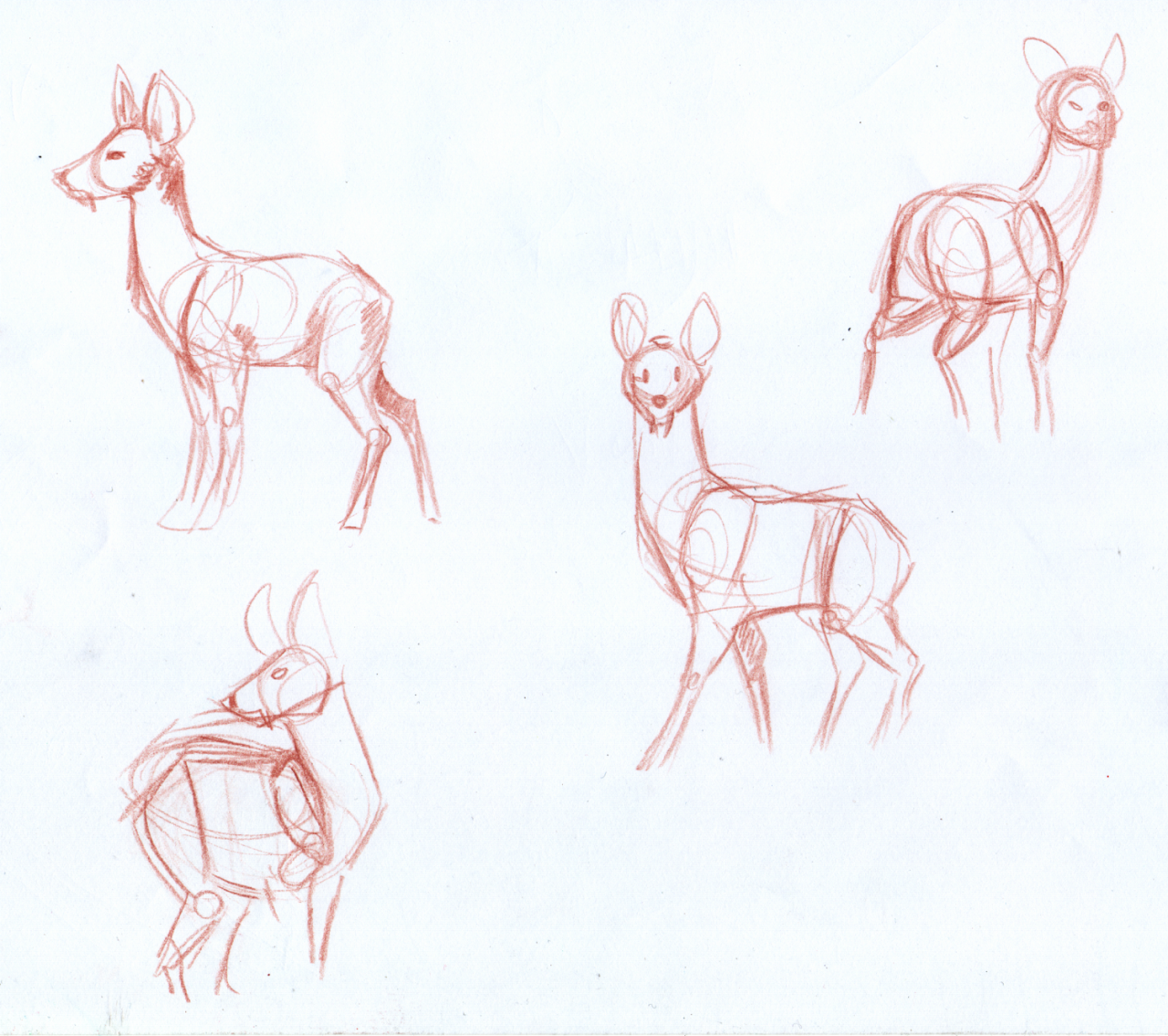 Some of the water deer studies I did today, plus wip of one of the final illustration.