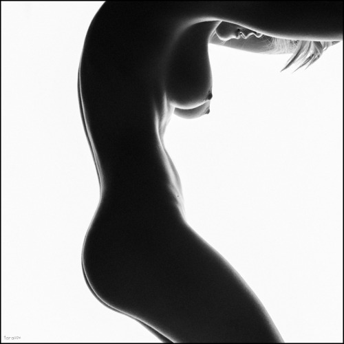 shaders:  *** by Tarasov 