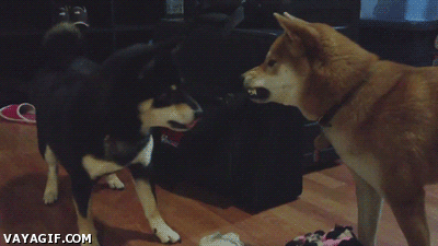 draco702:  &ldquo;I’m not touching you! I’m not touching you!&rdquo;