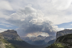 sleg:    Glacier National Park Fire  - 2015