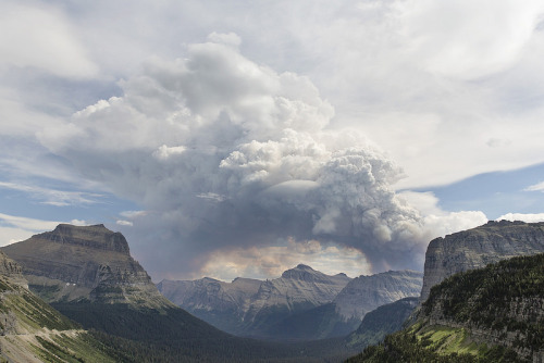 sleg:    Glacier National Park Fire  - 2015 porn pictures