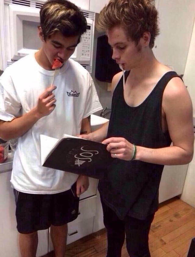 5sosisaddicting:  mukemovement2014:  i’m so offended they’re everything  THEY