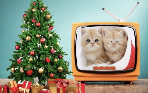 Ho! Ho! Holiday Viewing! — 2023 TV Holiday Premieres