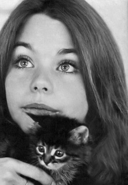 peoplewithcats:  Susan Dey