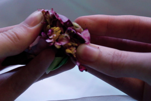 princex-misdreavus: For Every Flower Forced To Bloom, 2013  digital film stills i have never fe