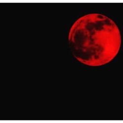 fabulousdarlin89:  Blood Moon 