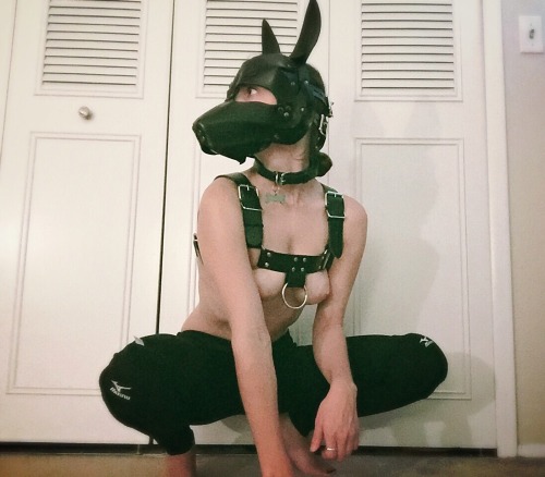 Porn puplaika:  Fully woman, partly hound. photos