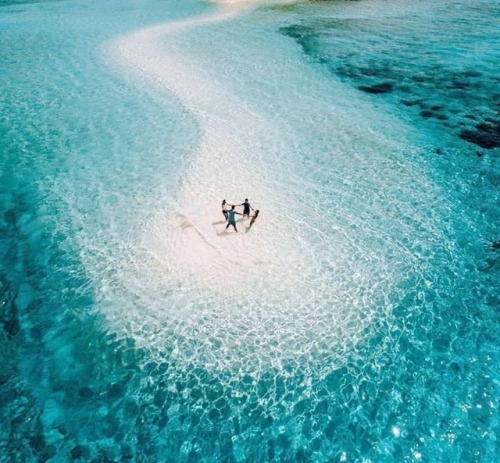 livingyoungwildfree:  summer vibes