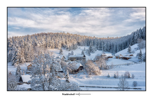 waldrebell:Innerhalb von 2 Tagen ist hier bei uns im nördlichen Schwarzwald 40-50 cm Schnee gefallen