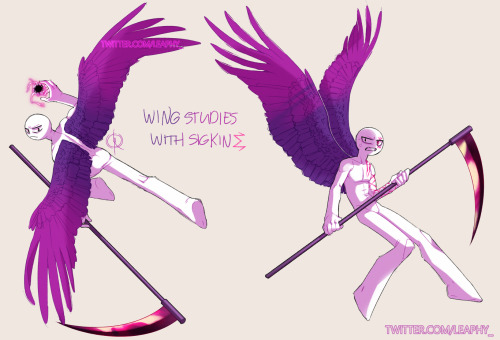 A collection of wing studies, with Sigkin as my lovely model~ ☺️ His wings are based on raven wings 