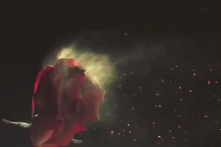 iamslaveandiamamaster:  Reign’s opening scene - Season 2 (The Lumineers - Scotland)
