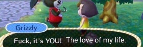 Lisoo Layouts