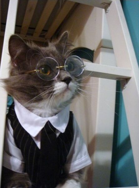 cute-overload:  Do you have an appointment?http://cute-overload.tumblr.com