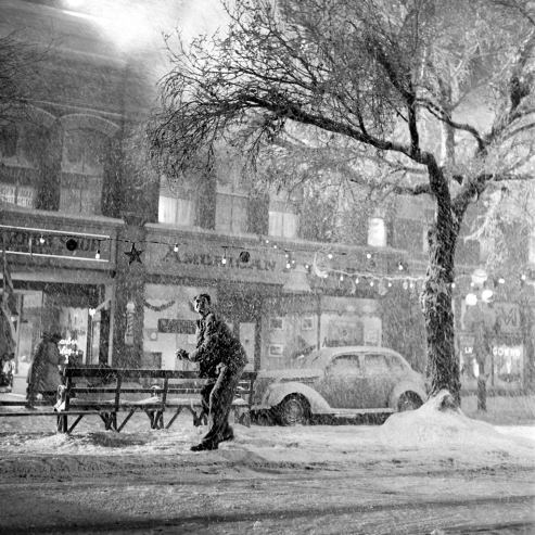 BEDFORD FALLS