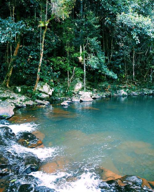 oceaniatropics: Obi Obi Creek lagoon, maleny, queensland, australia