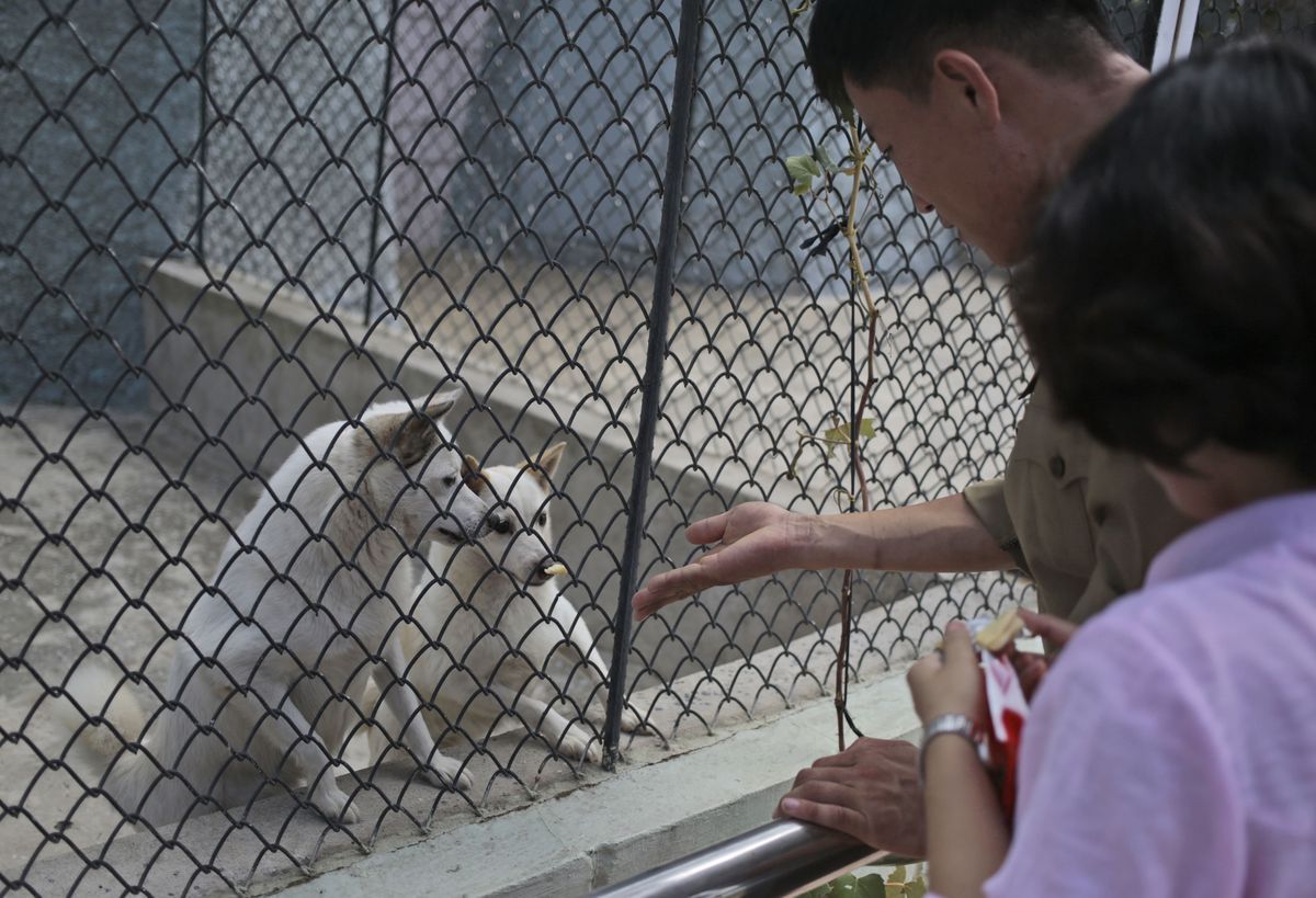 fotojournalismus:  A Day at the Zoo in Pyongyang (August 23, 2016)Photos by Dita