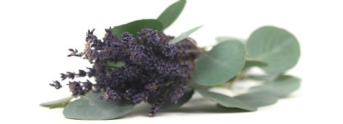 Empath Protection Oil