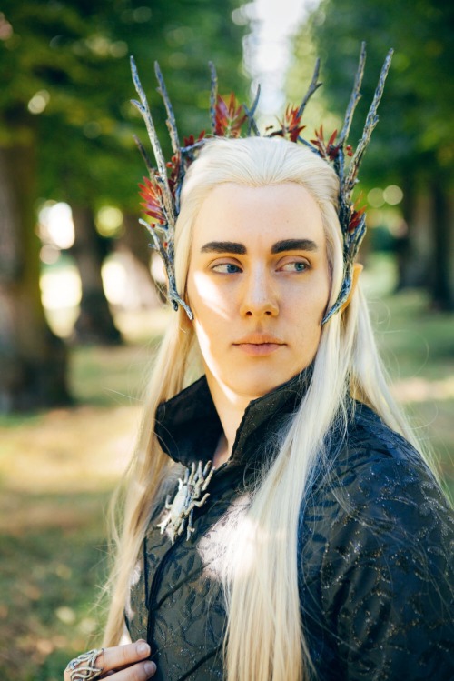 vescosplay:Some of the pictures from my last Thranduil photoshoot. Costume is made and worn by me.