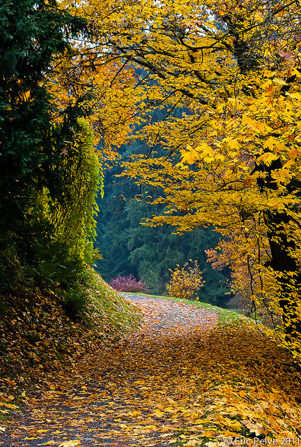 wistfullycountry:  Autumn Peace by episa on Flickr. 