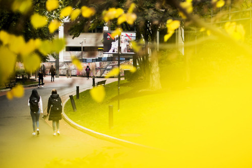 A few favorite images from the month of October shot for Northeastern University