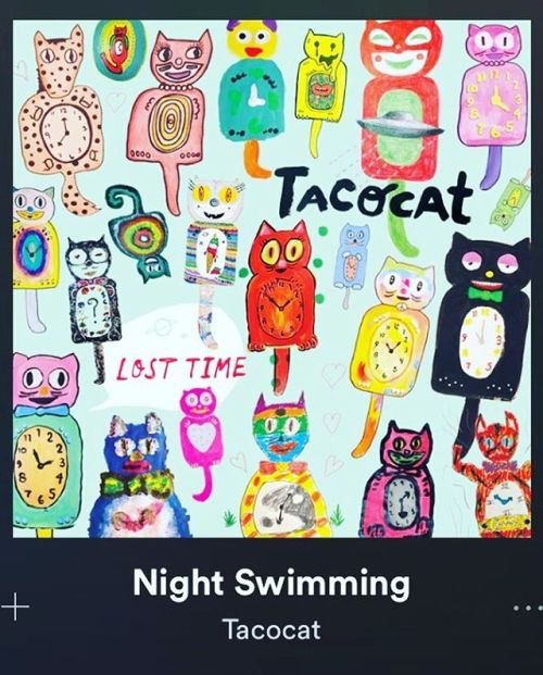 #tacocat #myjams #ilikedrawinguncomfortablecats