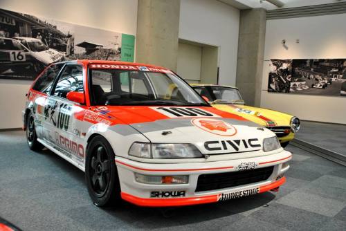 adoboandgarlicrice:  MOTION MUGEN N1 CIVIC adult photos