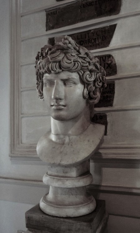 Dionysus, Musei Capitolini, Rome*but who are we kidding, this is so obviously Antinous*
